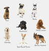 Which Dog Breed is Right for You?